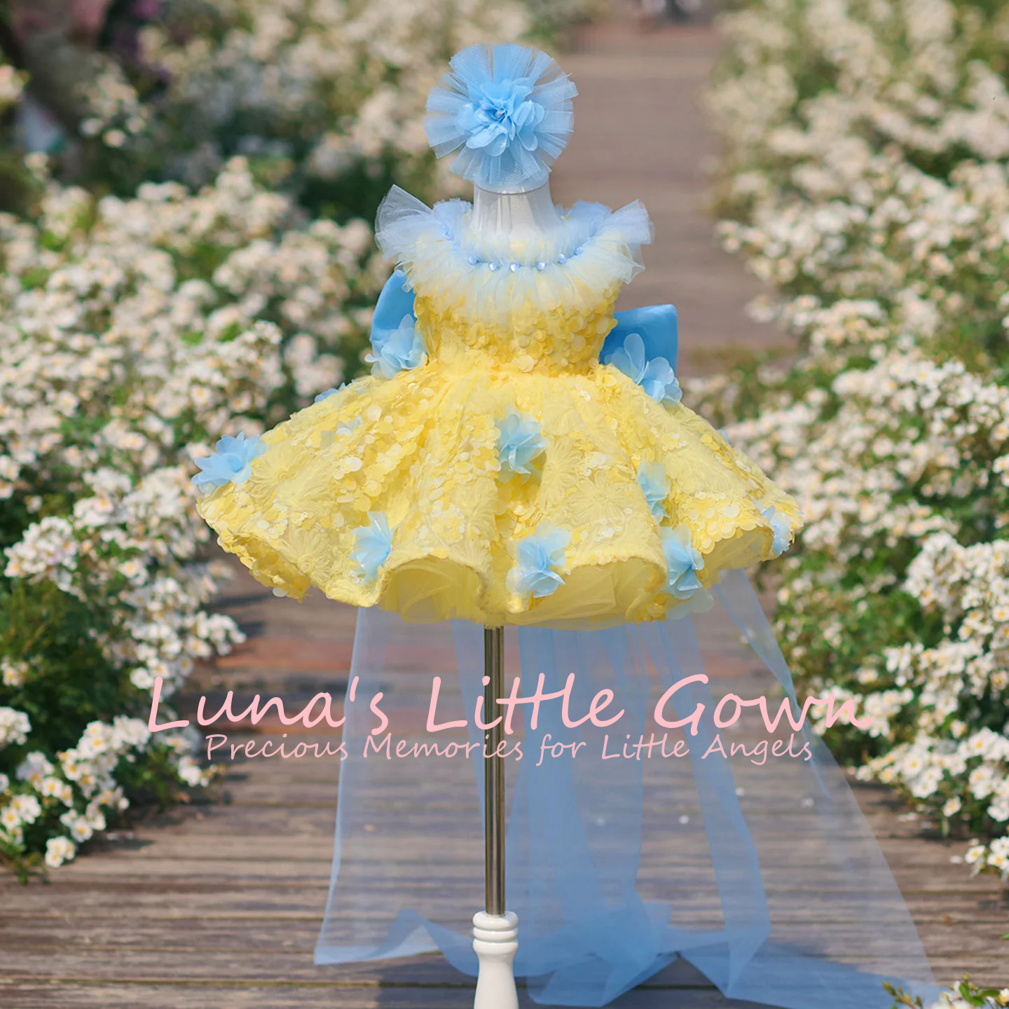 Img